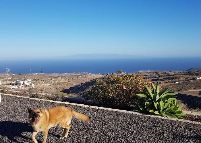 Unico Y Tranquilo Con Fibra Optica *