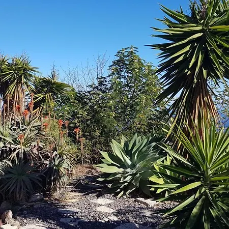 アパート Unico Y Tranquilo Con Fibra Optica Arico