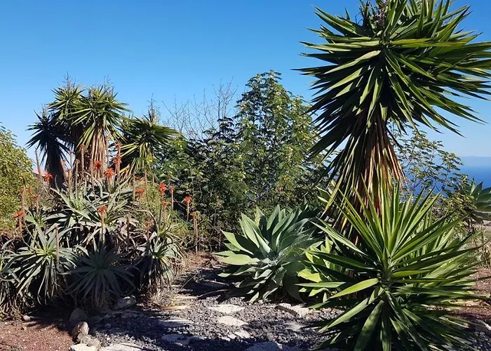 Apartamento Unico Y Tranquilo Con Fibra Optica Arico